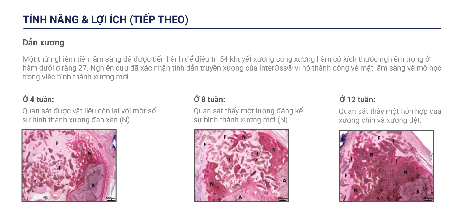 Bột ghép xương InterOss